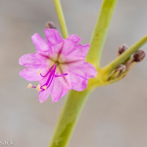 D82_1311-Edit