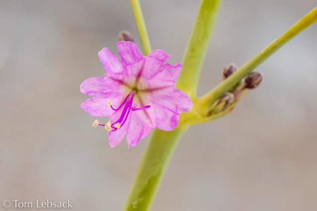 D82_1311-Edit