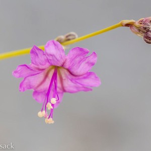 D82_1327-Edit
