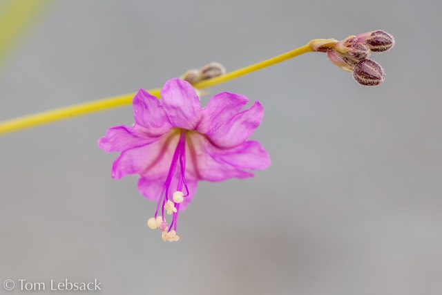 D82_1327-Edit