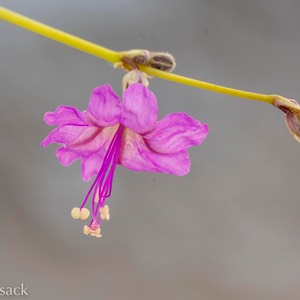 D82_1341-Edit