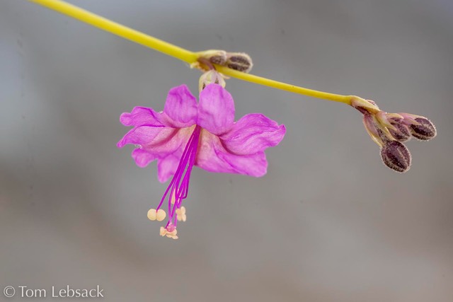D82_1341-Edit
