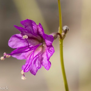 D82_1353-Edit