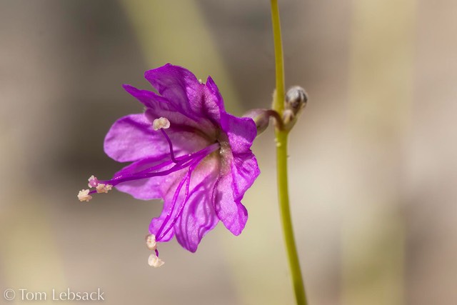 D82_1353-Edit
