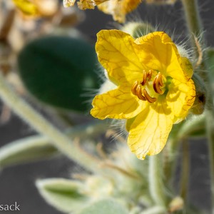 D82_1371-Edit
