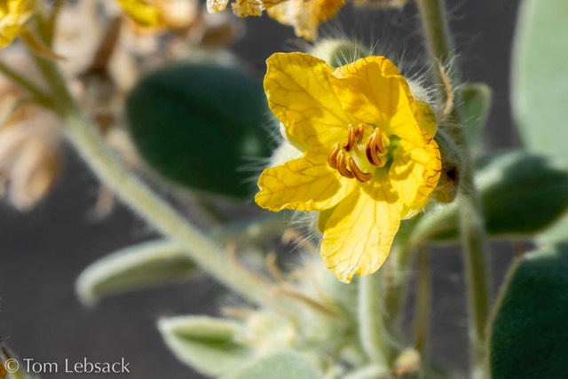 D82_1371-Edit