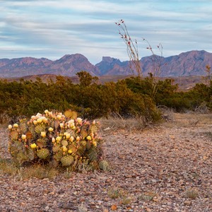 D82_4344-Pano-Edit-3