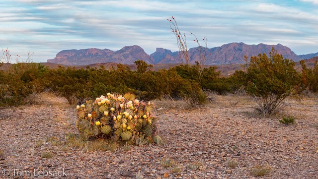 D82_4344-Pano-Edit-3