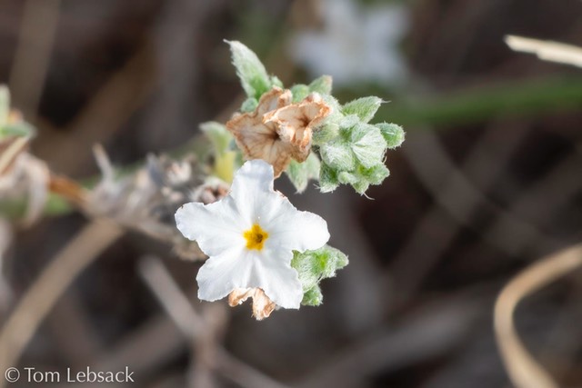 D82_6473-Edit