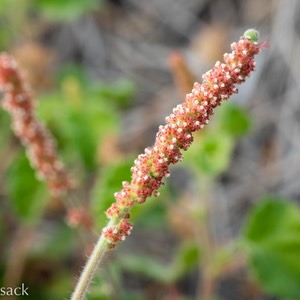 D82_6994