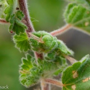 D82_7005-Edit