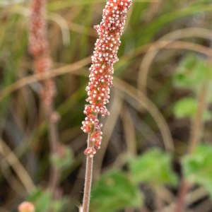 D82_7013