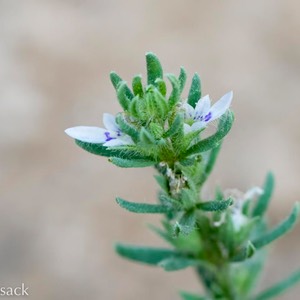 D82_7172-Edit