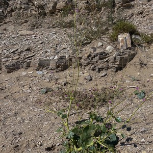 IMG_2539-Edit