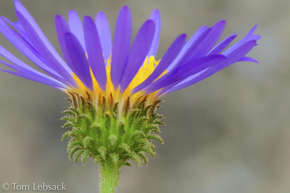 2020 11-13%2007-23-26%20%28B,Radius8,Smoothing4%2914-2-Edit