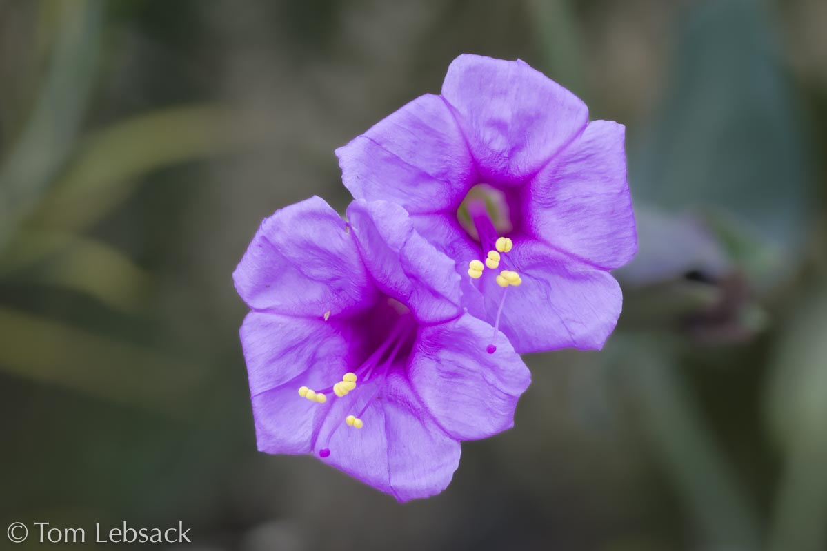 2020 11-13%2007-23-26%20%28B,Radius8,Smoothing4%2914-2-Edit