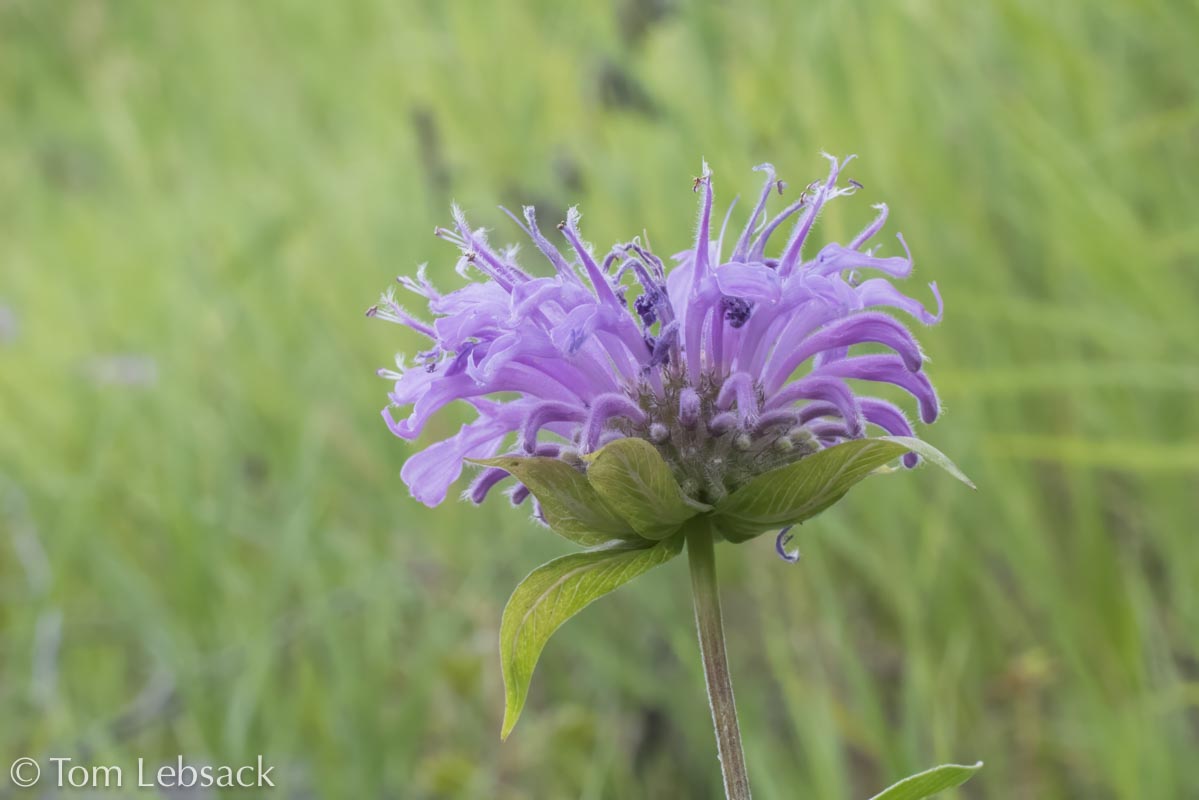 2020 11-13%2007-23-26%20%28B,Radius8,Smoothing4%2914-2-Edit