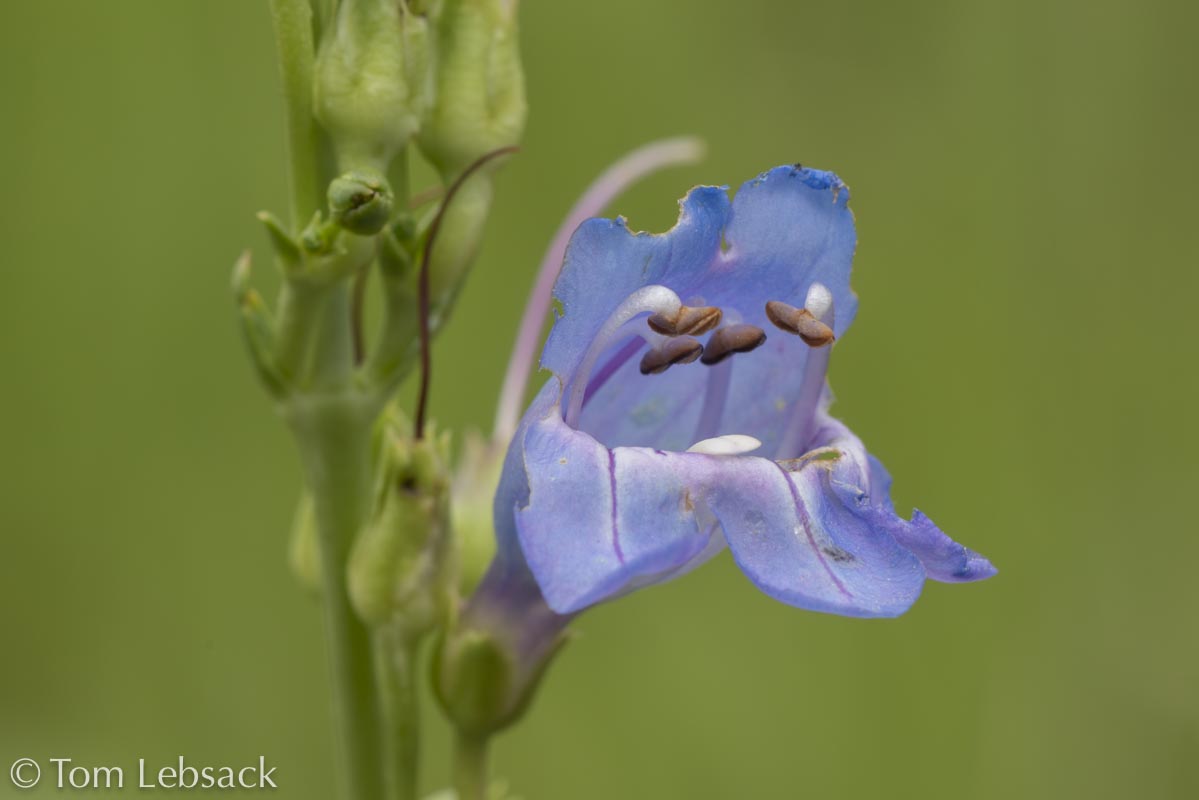 2020 11-13%2007-23-26%20%28B,Radius8,Smoothing4%2914-2-Edit