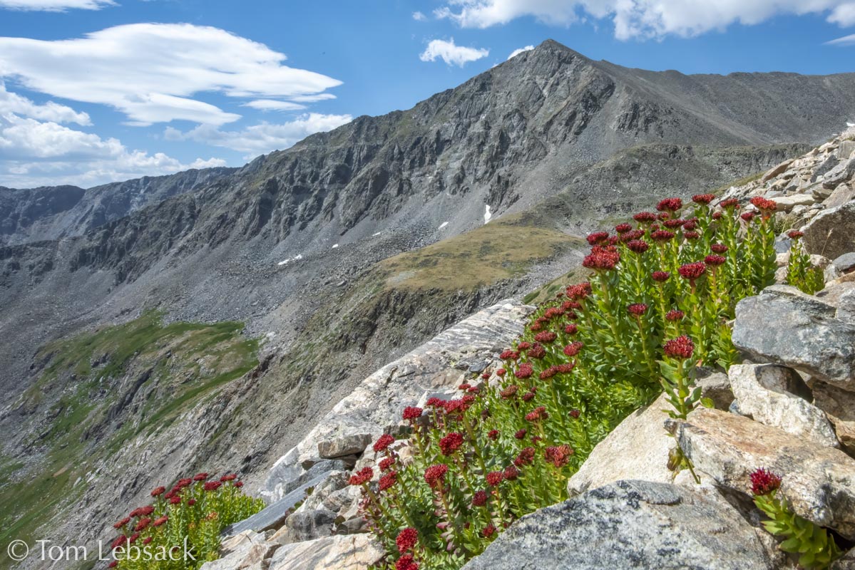 2017 05-16%2016-47-14%20%28A,Radius8,Smoothing4%299-2