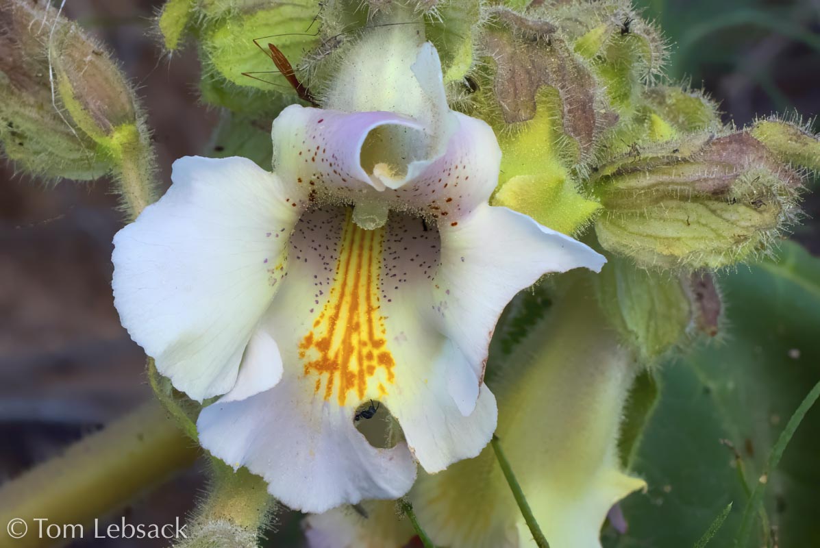 2019 04-21%2019-40-39%20%28A,Radius8,Smoothing4%2931-2