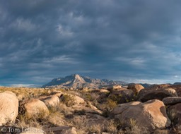 D81_2607-Pano-Edit-5