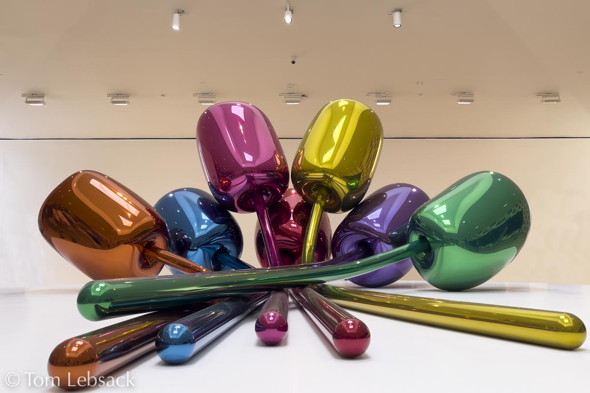 D82_1758 Edit%20Small