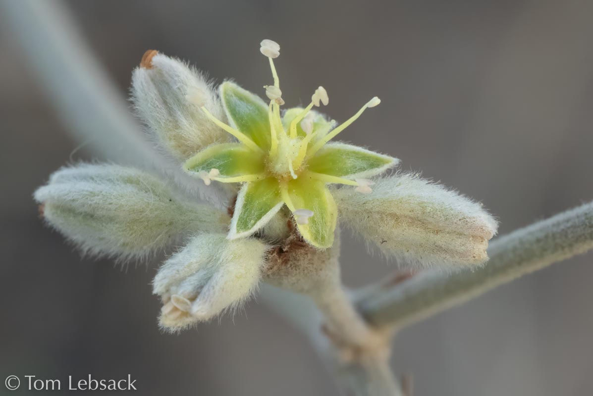 D81_7492 Edit-2-Edit