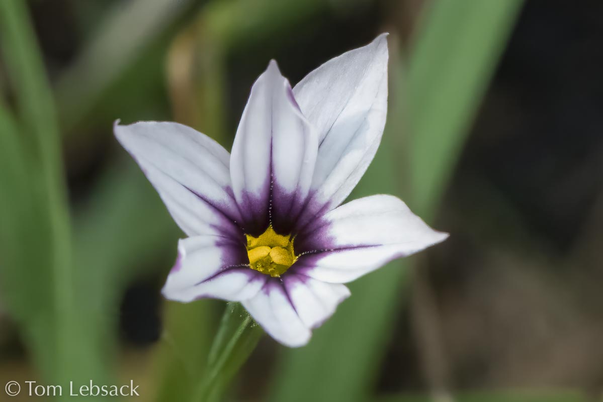 2017 05-16%2016-47-14%20%28A,Radius8,Smoothing4%299-2