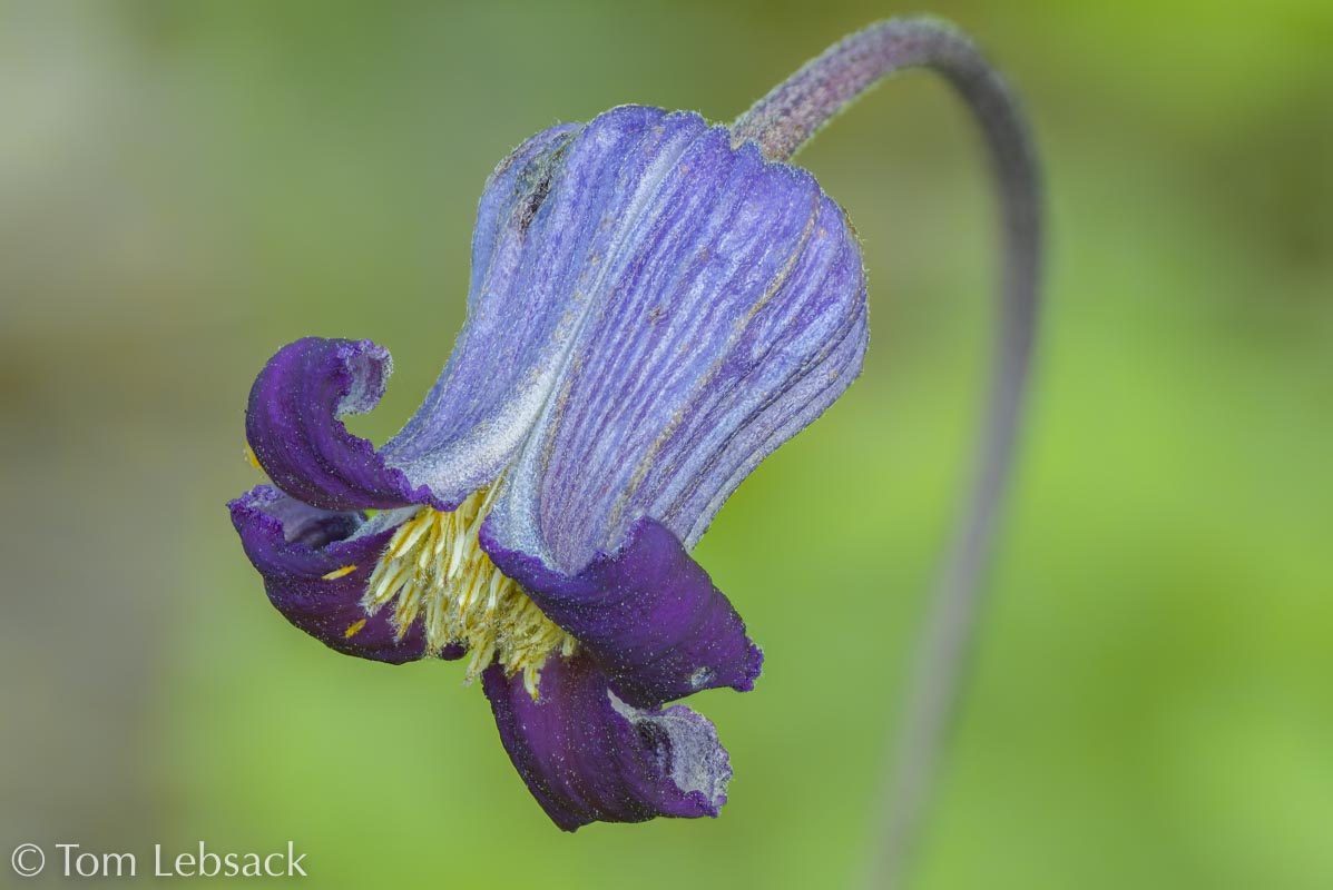 2017 05-16%2016-47-14%20%28A,Radius8,Smoothing4%299-2