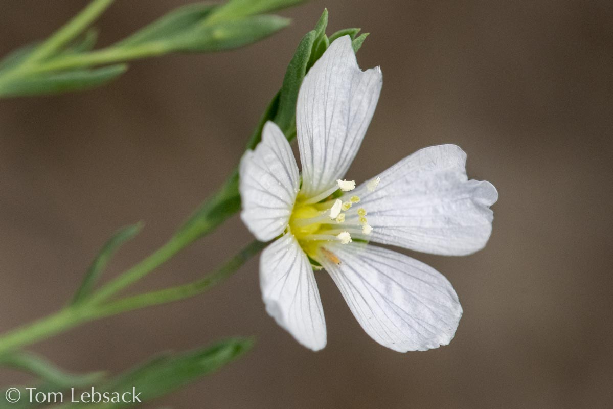 D81_6660%20Small