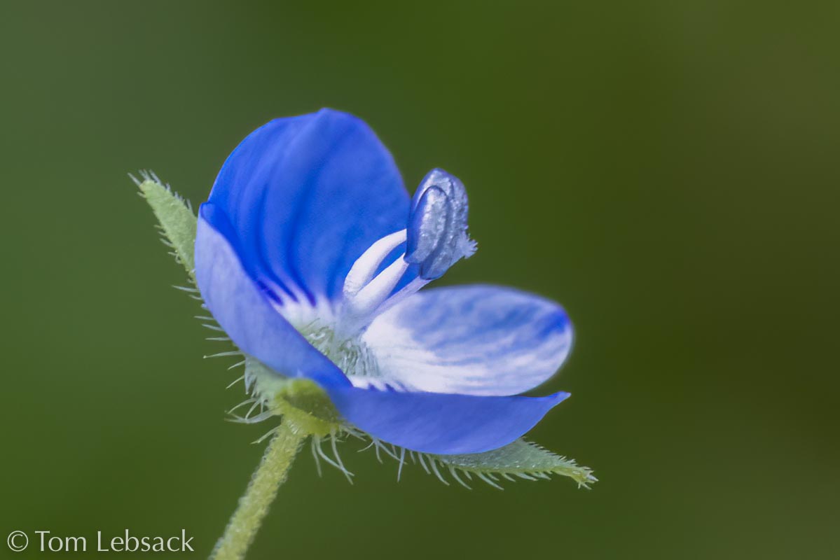 2017 05-16%2016-47-14%20%28A,Radius8,Smoothing4%299-2