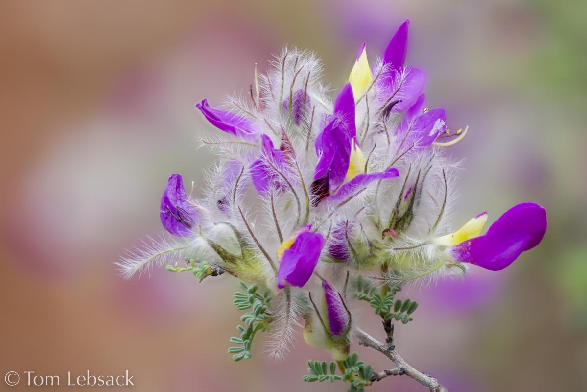 2019 04-21%2019-40-39%20%28A,Radius8,Smoothing4%2931-2