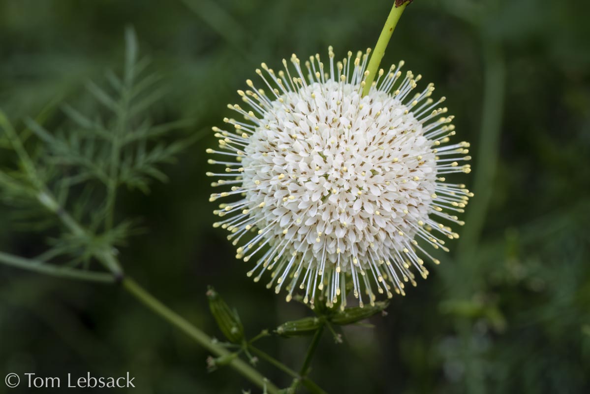 2019 03-26%2016-20-17%20%28A,Radius8,Smoothing4%2911-2-2-Edit-Edit