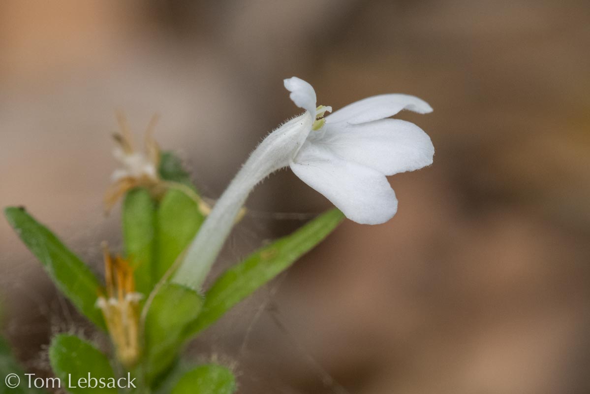 D81_6660%20Small