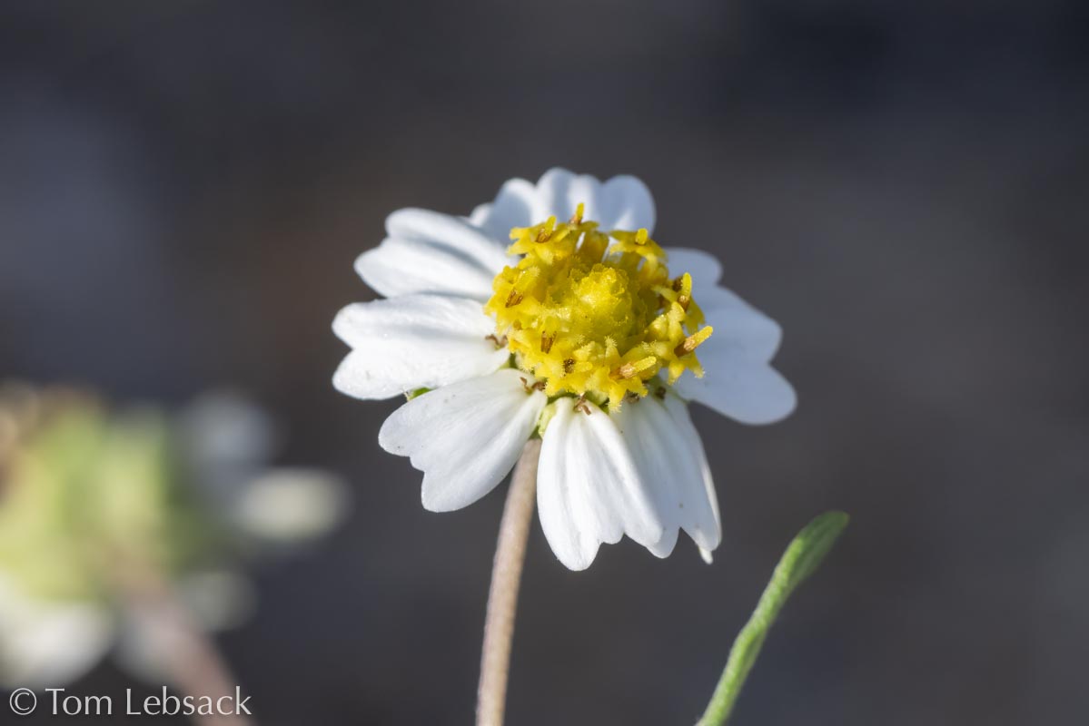 D81_6660%20Small