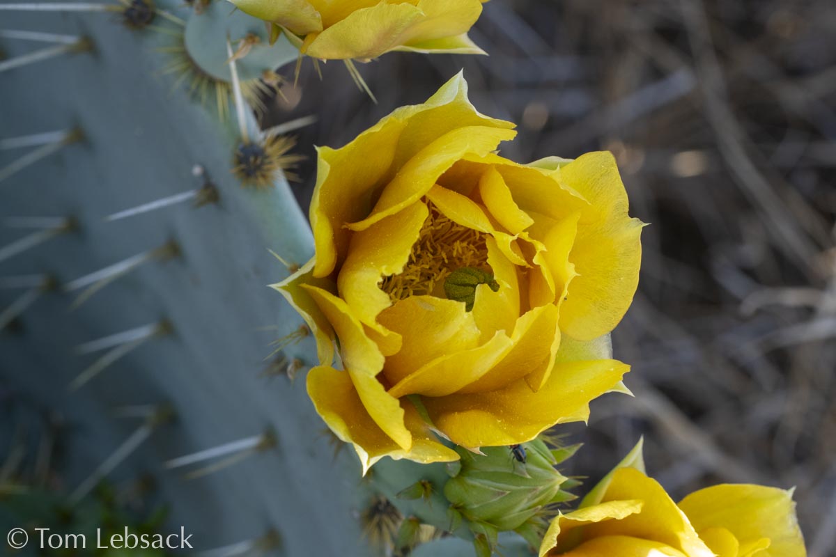 2020 11-13%2007-23-26%20%28B,Radius8,Smoothing4%2914-2-Edit